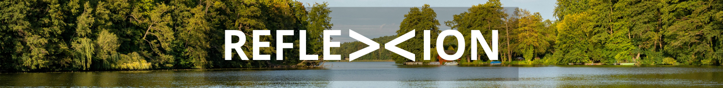 Baner Fundacja Reflexion